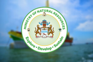 GoG welcomes new Offshore Oil Discoveries