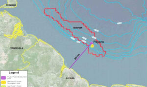 Payara review to be completed before August month-end – Vice President